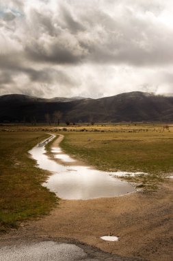 Çölde yağmur dolu lastik izleri