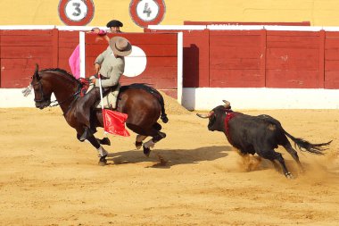 Malaga, Endülüs, İspanya 12 Temmuz 2015: Picador - at ve boğa üzerinde boğa güreşçisi. İspanyol boğa güreşi, corrida