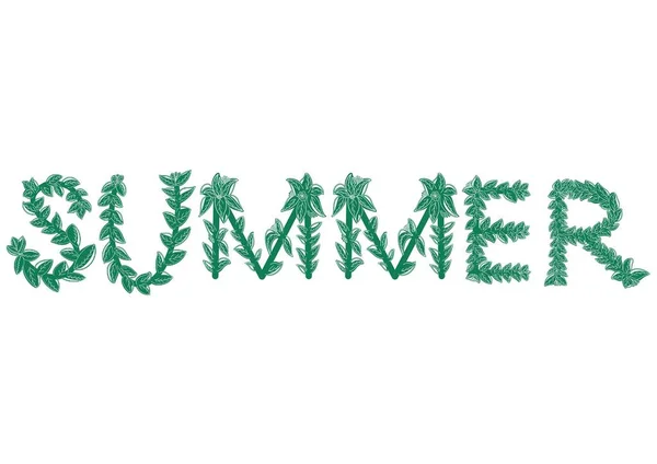 Green Word Summer Made Leaves White Background — Stock Photo, Image