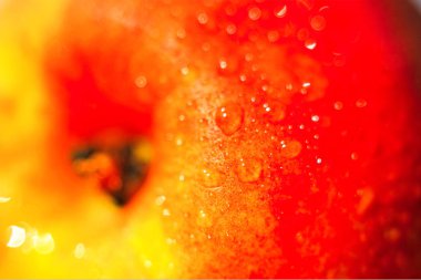 elma bahar taze meyve olgun lezzetli açık renkli