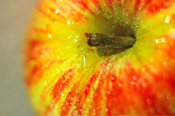 Apple Spring Fresh Fruit Ripe Tasty Light Background — Stok Foto