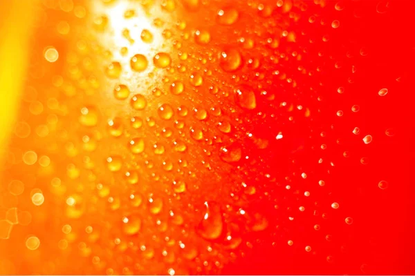 Red Tomato Water Glare Health Fresh Light Wallpapers — Stock Photo, Image