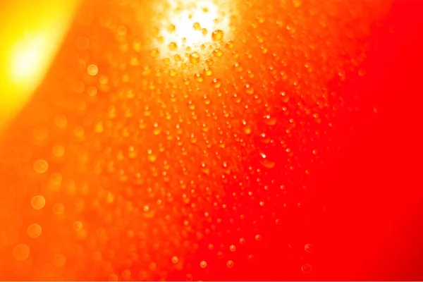 Red tomato water glare health fresh light wallpapers