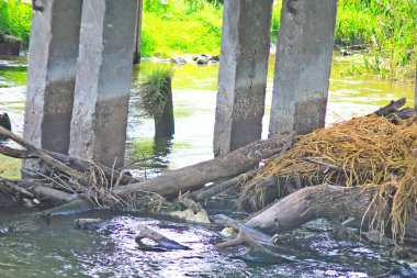 Köyde ev, Evcil hayvan, parlak güzel çiçekler, alanlar, sulu sebze, meyve, akşam parlak parlak şenlik ateşi çok yakınındaki bir güneşli gün.