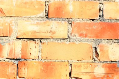 Köyde ev, Evcil hayvan, parlak güzel çiçekler, alanlar, sulu sebze, meyve, akşam parlak parlak şenlik ateşi çok yakınındaki bir güneşli gün.