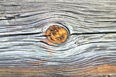 Köyde ev, Evcil hayvan, parlak güzel çiçekler, alanlar, sulu sebze, meyve, akşam parlak parlak şenlik ateşi çok yakınındaki bir güneşli gün.