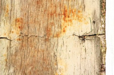 Köyde ev, Evcil hayvan, parlak güzel çiçekler, alanlar, sulu sebze, meyve, akşam parlak parlak şenlik ateşi çok yakınındaki bir güneşli gün.