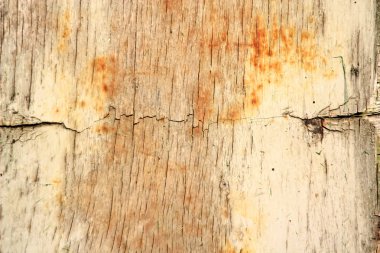 Köyde ev, Evcil hayvan, parlak güzel çiçekler, alanlar, sulu sebze, meyve, akşam parlak parlak şenlik ateşi çok yakınındaki bir güneşli gün.