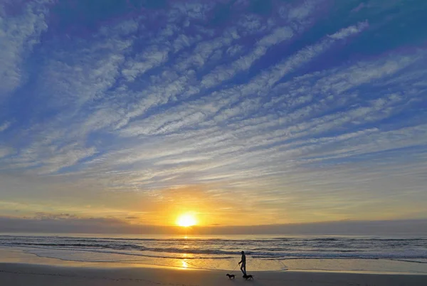 Old retired man enjoys his daily ritual, a stroll with his two dogs on the lovely  beaches of Hartenbos on the Garden Route in South Africa. It was a lovely warm summer morning at sunrise.