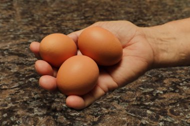 Yumurta Kahvaltı ile özellikle çok severim. Karım burada üç büyük yumurta mutfağımızda gösteriyor.