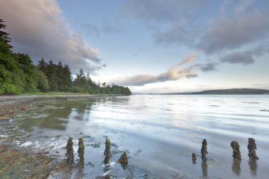 Moray Firth İskoçya Highlands bu derin iç kesim Inverness yakınındaki bankalardan tipik sabah sahne.