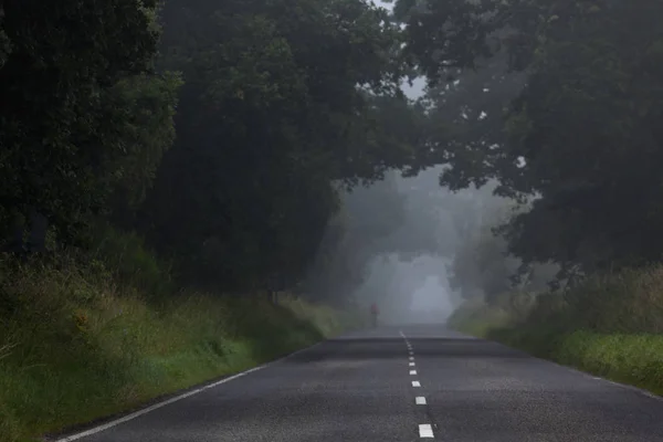 This misty road covered by so much trees and vegetation goes past Kiltarlity in the Highlands of Scotland to Lochness.