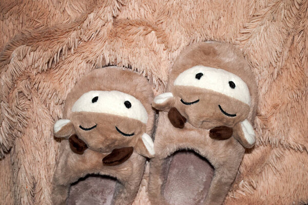 Cozy house slippers in the shape of a bull / cow, New Year's house clothes on fluffy background. Creative conceptual top view flat lay in minimal style. 