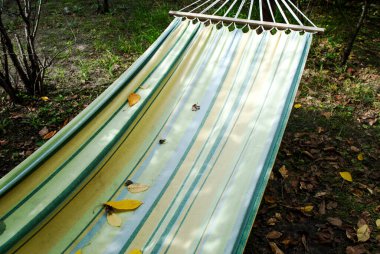 Sonbahar bahçesindeki hamak. Parlak düşen sonbahar yaprakları