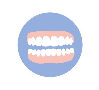 Sağlıklı dişler. Çene izole. Diş hekimliği ve ortodonti tedavisi. Düz vektör illüstrasyonu