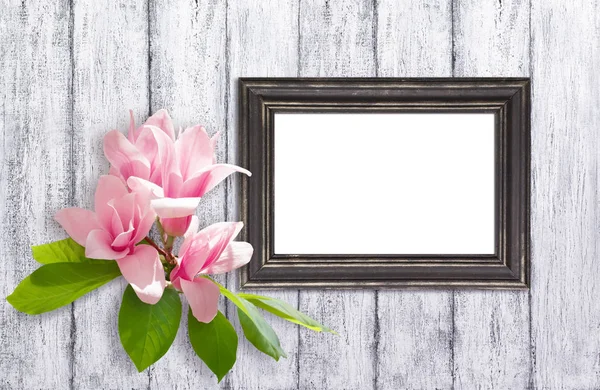 Φόντο Διακοπών Ροζ Magnolia Λουλούδια Και Κορνίζα Στον Τοίχο Του — Φωτογραφία Αρχείου