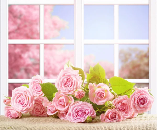 室内の窓枠と荒布を着た横になっているバラの花 外ピンク桜と春の晴れた日 — ストック写真
