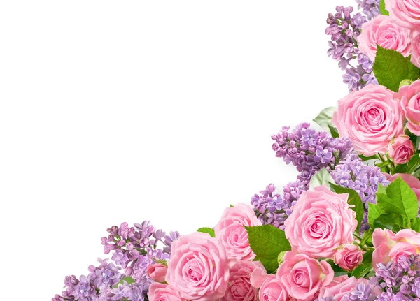 ピンクのバラとライラックの写真やテキストのための場所で白い背景で隔離の角飾り — ストック写真