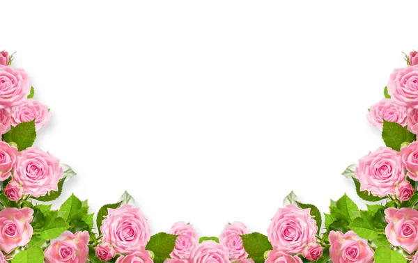 Roze Rozen Geïsoleerd Een Witte Achtergrond Met Plaats Voor Foto — Stockfoto