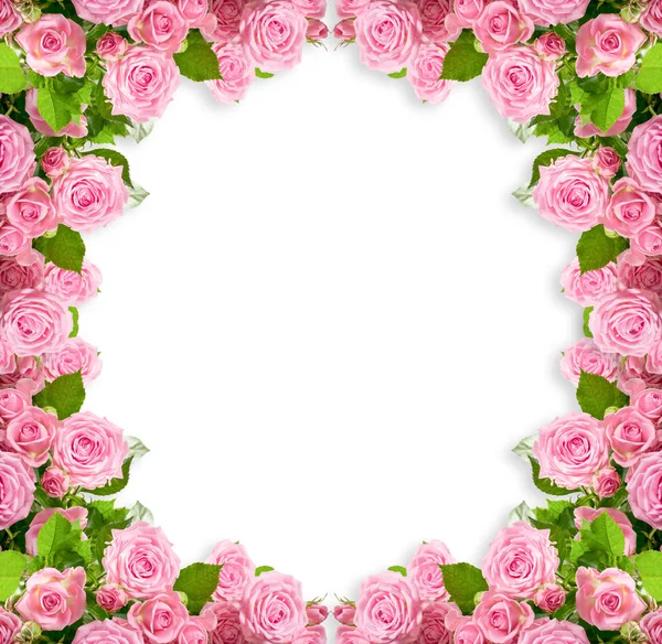 粉红色玫瑰框架隔离在白色背景与地方为您的相片或文字 — 图库照片