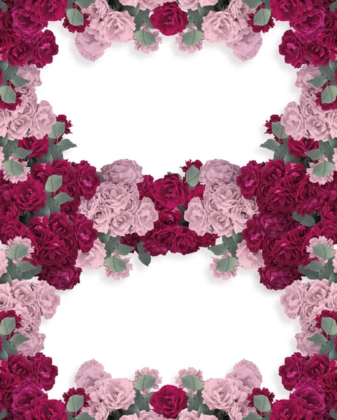 Две Цветочные Рамки Розовыми Цветами Изолированы Белом Фоне Место Фотографии — стоковое фото