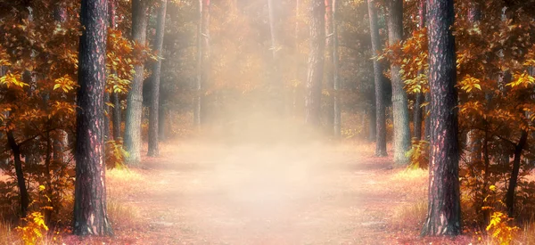 Fantasy autumn panoramic photo background with pine tree forest — Stock Photo, Image