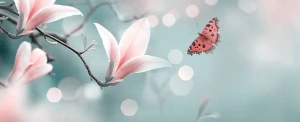 ピンクのマグノリアの花と神秘的な春の背景 — ストック写真