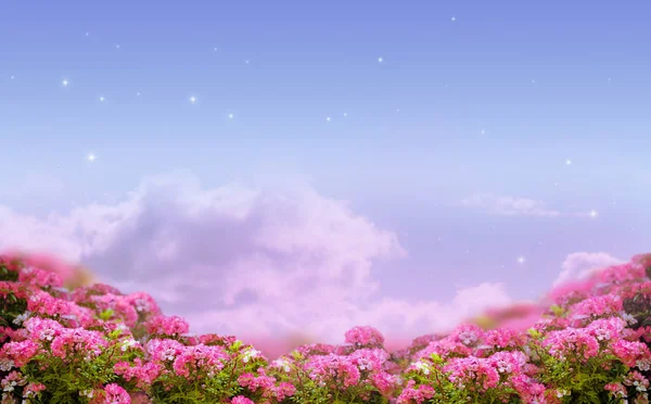 Фантастический Фон Утреннего Неба Сияющими Звездами Таинственными Облаками Полем Розовых — стоковое фото