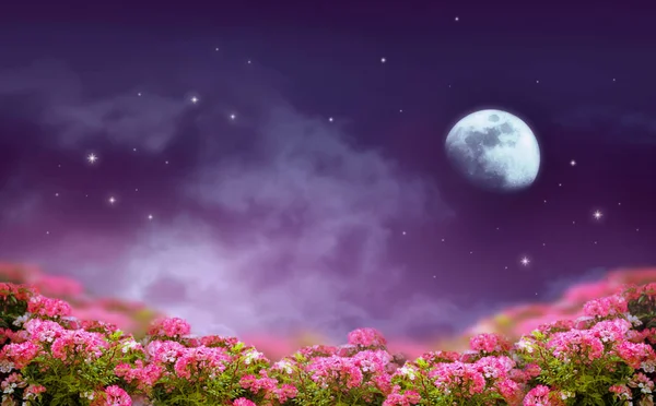 Фантастичний Фон Нічного Неба Сяючими Зірками Таємничими Хмарами Місячним Трояндовим — стокове фото