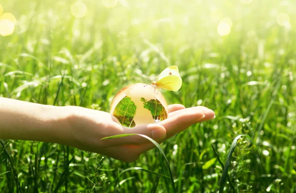 Terra globo di vetro e farfalla in mano umana su erba verde — Foto Stock