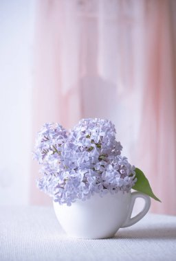 Masa ve perde duvarda asılı çay bardağı leylak çiçekleri ile oda iç. Yumuşak odaklama.