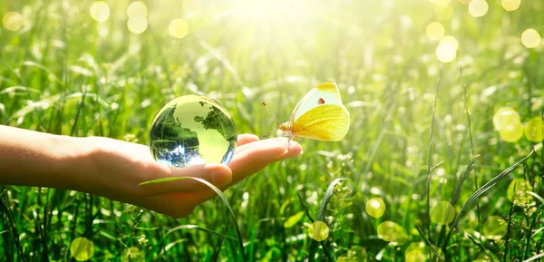 Earth glass Globe och Butterfly i mänsklig hand på grönt gräs — Stockfoto