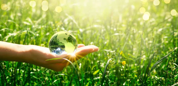 Earth glass globe and butterfly in human hand on green grass — Stock Photo, Image