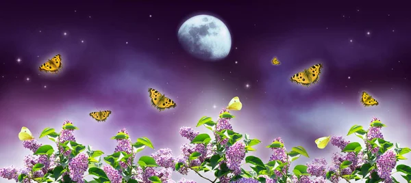 Fantasme fantastique fond de ciel nocturne violet magique — Photo