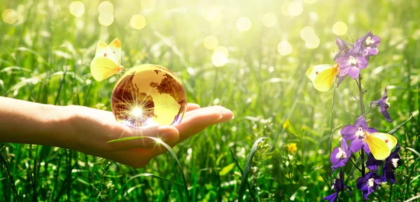 Earth Crystal Glass Globe Och Butterfly Med Gula Vingar Mänsklig — Stockfoto