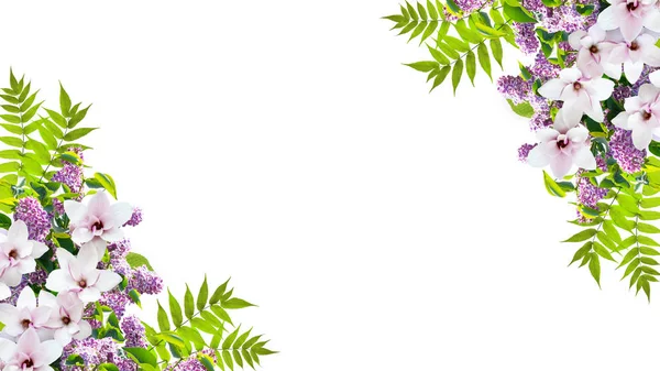 Piękna Kwiatowa Ozdoba Narożna Składa Się Kwiatów Lilacu Magnolii Odizolowanych — Zdjęcie stockowe