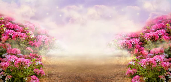 Фантастичний Літній Панорамний Фото Фон Трояндовим Полем Туманним Шляхом Веде — стокове фото