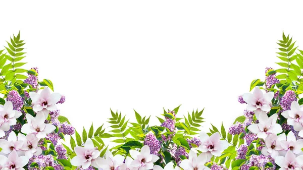 Schöne Florale Bordüre Ornament Besteht Aus Fliederblüten Grünem Laub Und — Stockfoto