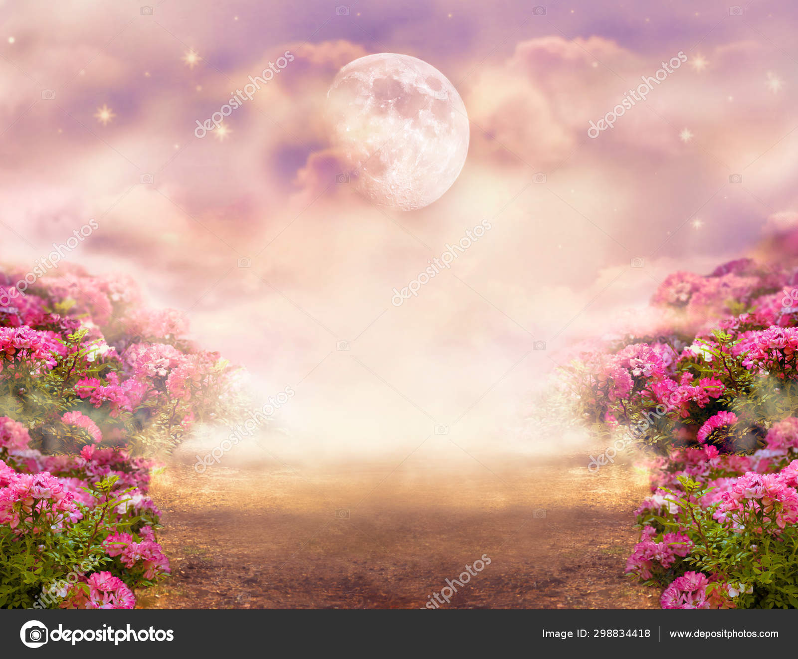 Fantasy Photo Background Rose Field Dramatic Sky Moon Stars Misty Stock  Photo by ©Julia_Arda 298834418