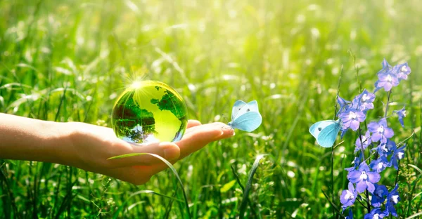 Erde Kristallglaskugel und Schmetterling in der Hand auf Gras und Blauglockenblumen Hintergrund. Umweltschutz und sauberer grüner Planet. Karte für Weltgebetstag-Konzept. — Stockfoto