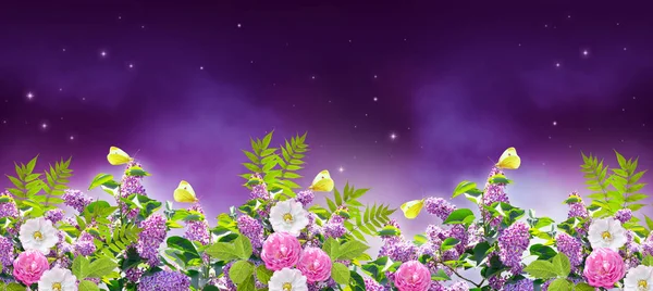 Fond fantastique de ciel nocturne magique avec des étoiles brillantes, des nuages mystérieux et des papillons jaunes assis sur des lilas en fleurs et des fleurs roses — Photo