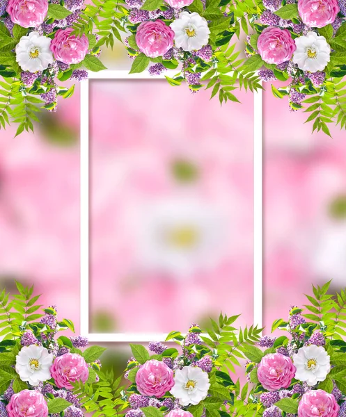 Mooie bloemen Garland bestaat uit seringen bloemen, hond Rose (Briar), groene bladeren en frame op wazig roze achtergrond — Stockfoto