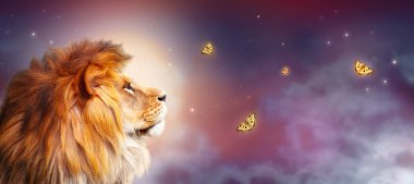 Afrika aslanı ve Afrika'da gece savanası. Uçan kelebekler ile ay ışığı manzara, hayvanların kralı. Savanada yıldızlara bakan gururlu hayal perisi aslan. Görkemli dramatik yıldızlı gökyüzü afiş.