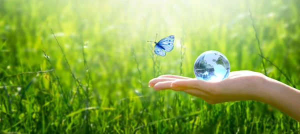 人間の手で地球クリスタルガラスグローブボール 青い翼 新鮮なジューシーな草の背景と蝶を飛ぶ 環境を保存し きれいな緑の惑星 エコロジーの概念を保存します 世界地球の日のためのカード — ストック写真
