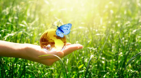 Erde Kristallglaskugel und Schmetterling in menschlicher Hand auf Gras — Stockfoto