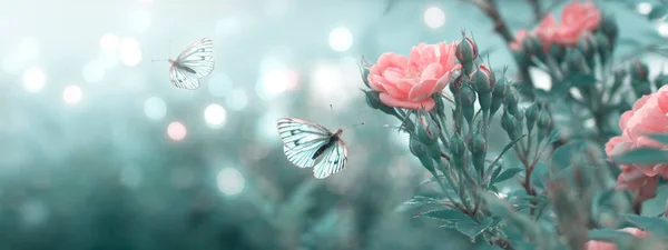 Mystérieuse bannière florale printanière avec fleurs roses fleuries et papillon — Photo