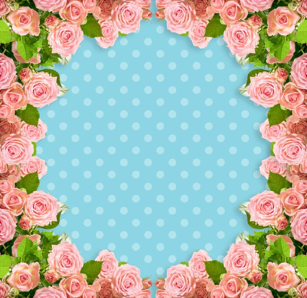 Pink roses frame on blue polka dots background — Stock Photo, Image