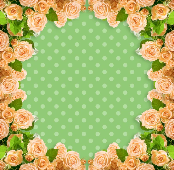 Cream roses frame on green polka dots background