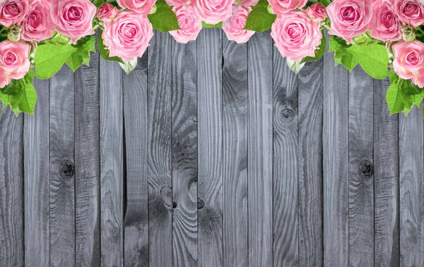 Růžové růže, květiny na pozadí ošuntělé dřevěné lamely — Stock fotografie