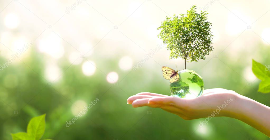 Earth crystal glass globe ball and growing tree in human hand, flying butterfly on green background. Saving environment, save clean planet, ecology concept. Card for World Earth Day.